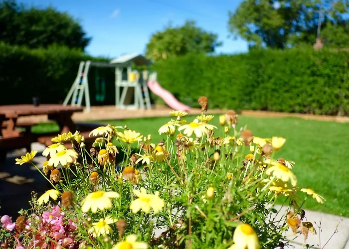 The George Carvery &